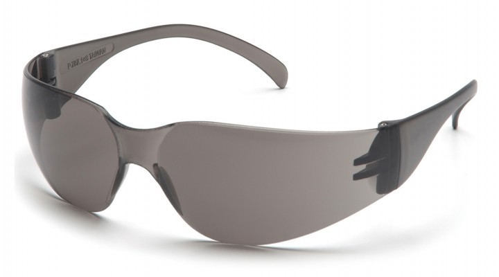 Intruder Gray Lens with Gray Temples 